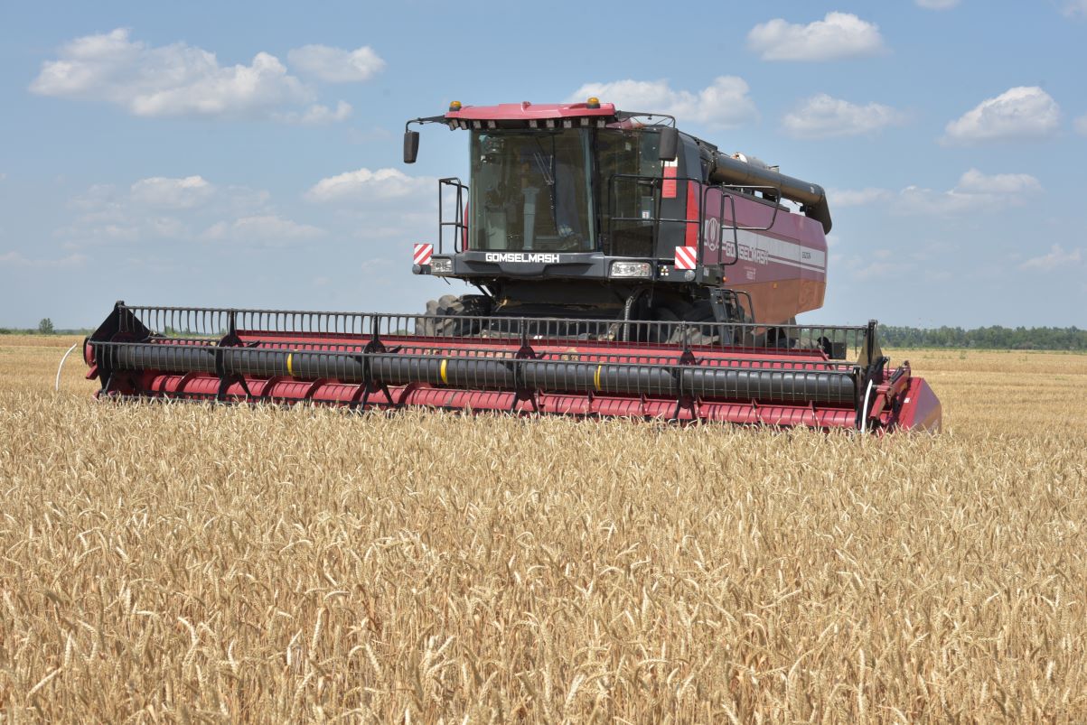 Более 6 млн тонн зерна собрали в Воронежской области за 2025 год